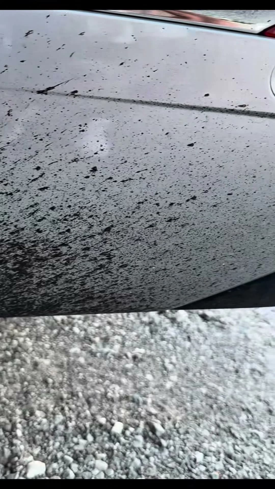 Tar on a silver SUV lower panel before removal